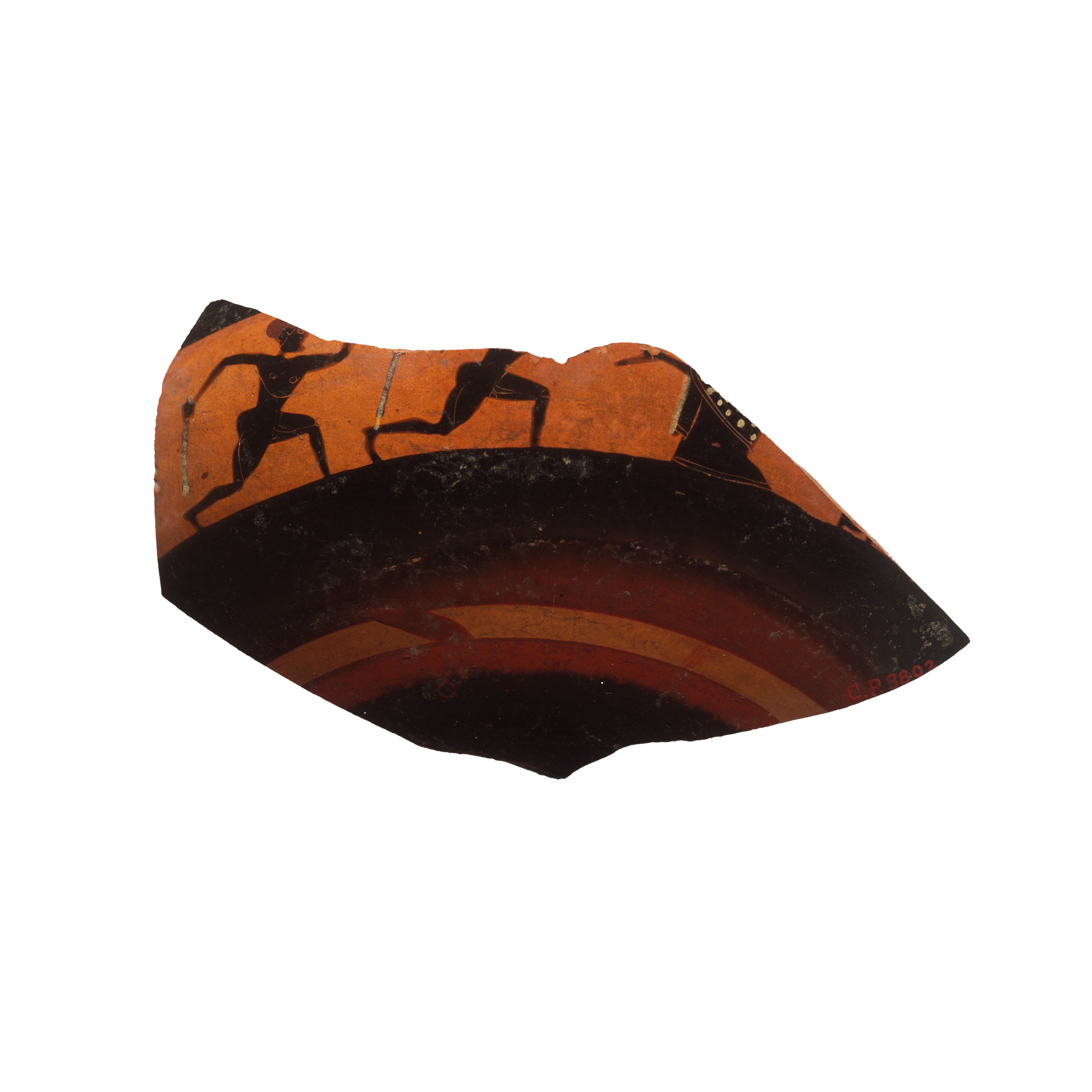 Black-figure pottery shard fragment